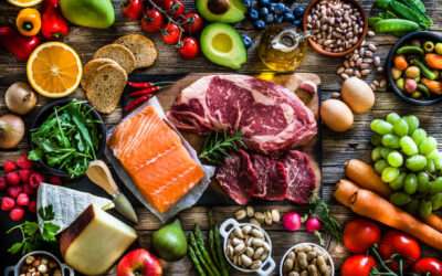 A Beginner’s Guide To Raw Diet For Dogs